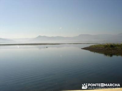 Marismas de Santoña (visita Ornitológica).; escapadas sierra madrid